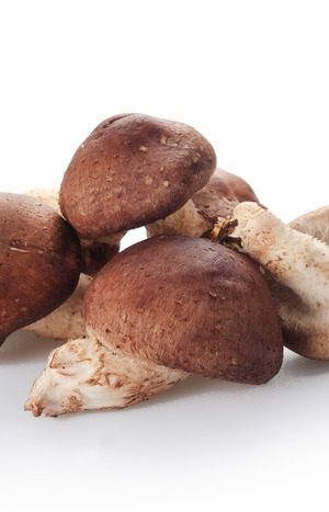 Shiitake Mushroom